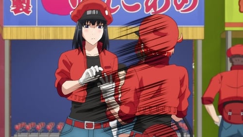 Hataraku Saibou Season 1 ตอนที่ 12