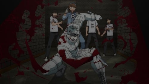 Hataraku Saibou!! Season 2 ตอนที่ 2