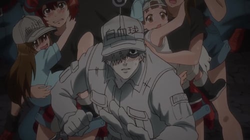 Hataraku Saibou Season 1 ตอนที่ 11