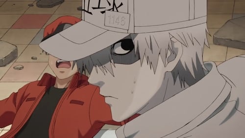 Hataraku Saibou Season 1 ตอนที่ 2